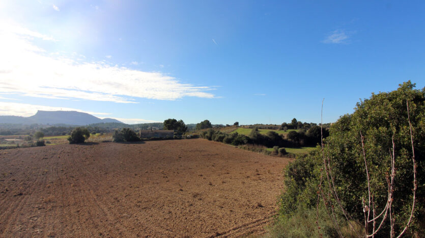 plot to build Algaida Mallorca on sale