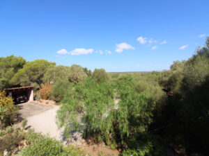 casa rústica en Santanyí Mallorca a la venta